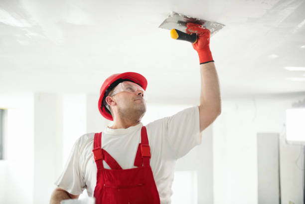 Best Commercial Mold Inspection  in Prceton, IN