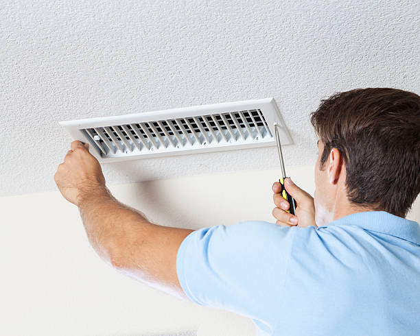 Mold Odor Removal Services in Princeton, IN