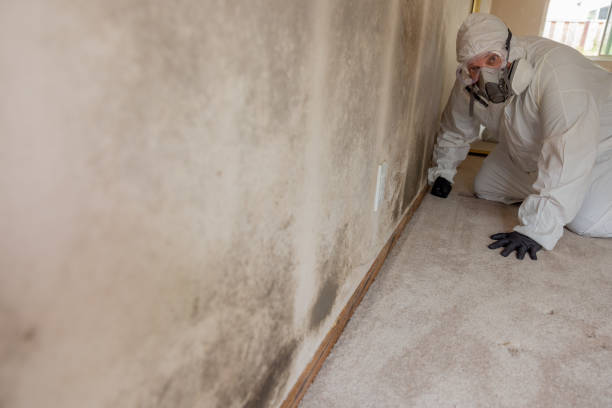 Best Comprehensive Air Testing for Mold Contaminants  in Prceton, IN