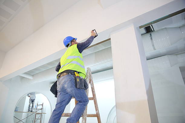 Best Post-Construction Mold Inspection  in Prceton, IN