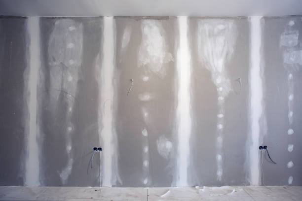 Best Asbestos and Lead Testing During Mold Inspection  in Prceton, IN